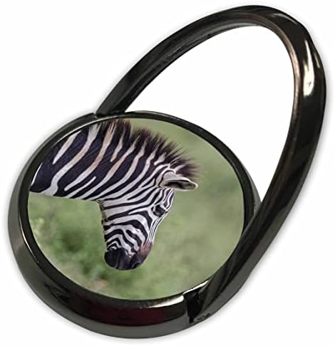 3drose Burchells Zebra, Ngorongoro Crater, Tanzanija, Afrika. - Prstenje telefona