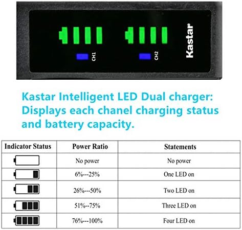 Kastar CRG-D08S LTD2 USB punjač za baterije kompatibilan sa Panasonic AG-DVC15, AG-DVC30, AG-DVC30E,